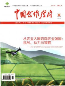 中国合作经济杂志